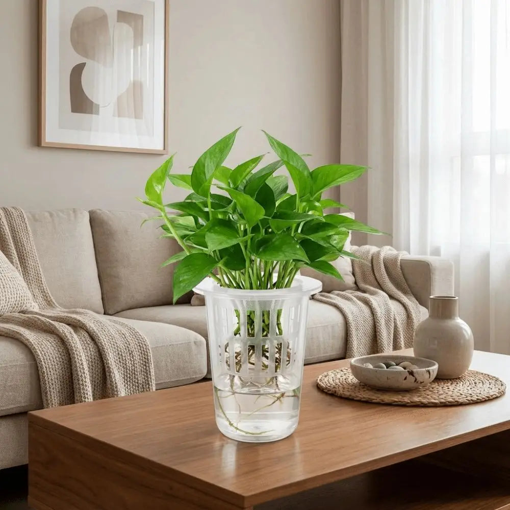 Transparent Plastic Hydroponic Mesh Cups Plant Propagation Vegetable Nursery Plant Nursery Pot Flowerpot Root View Cups Oasis Select