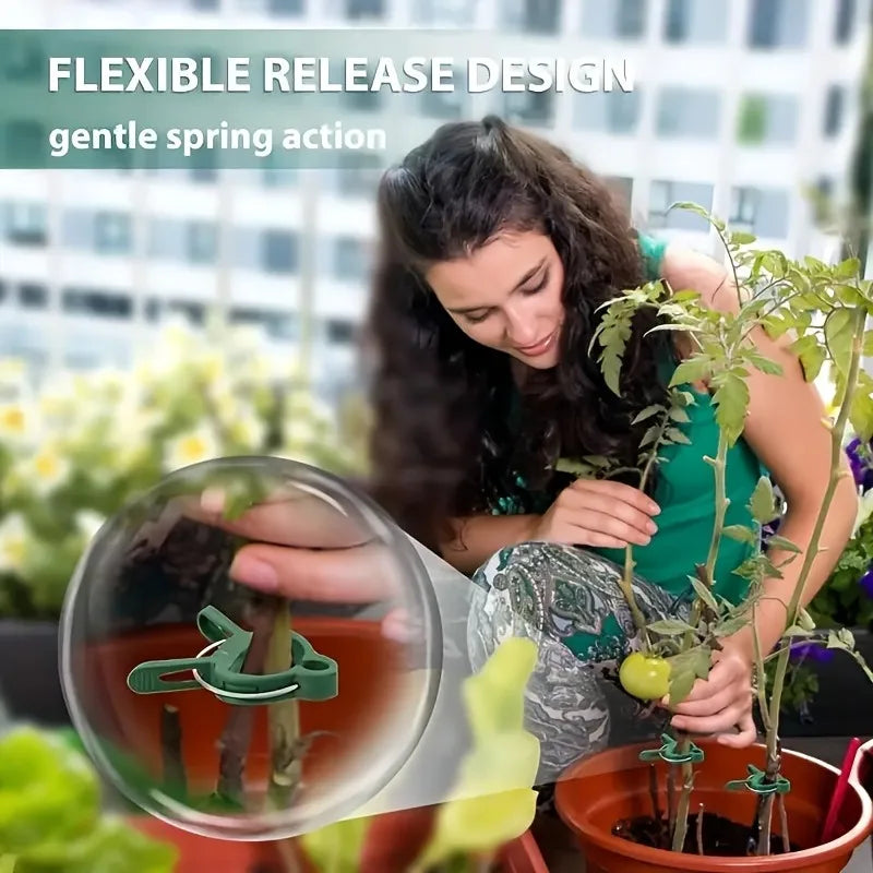 20ps Plant Fixed Clips Reusable Garden Greenhouse Bracket Garden Plants Vine Climbing Clamp Flower Tomato Support Fastener Oasis Select