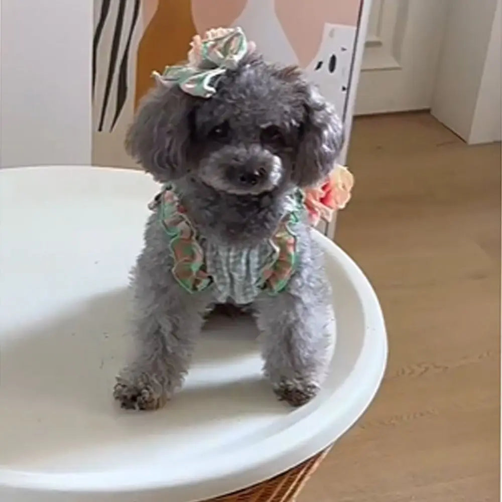 Comfortable Cute Pet Plaid Lace Vest Fashion Soft Pet Summer Princess Skirt Breathable Cat Dress for Puppy Kittens Oasis Select