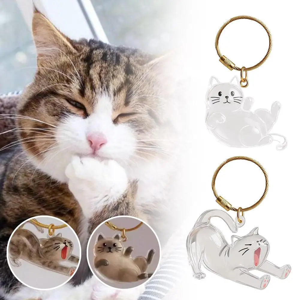 Cat Fur Keepsake Box – Pet Memorial Storage Container Gift