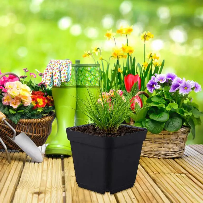 50pcs Starter Pots Plant Nursery Pots Seed Starting Pots Plastic Flower Plant Container Seedling Cups Square Black Seedling Pots Oasis Select