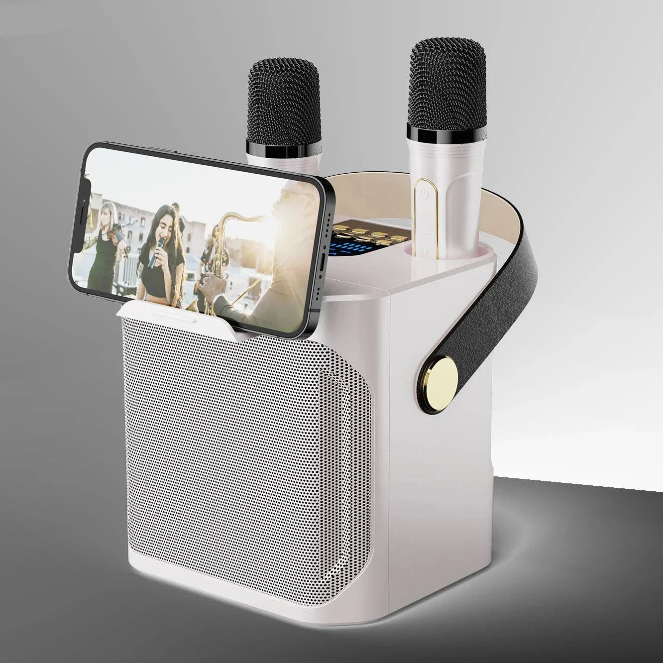 AyeBeau S882 Portable Karaoke Bluetooth Speaker & 2 Mics