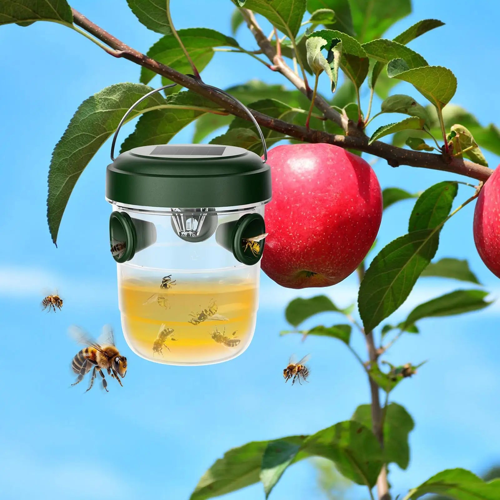 1PC Solar Wasp Traps Clear Waterproof Hanging Hornets Trap for Indoor Outdoor Reusable Garden Fruit Bee Flying Catcher Oasis Select