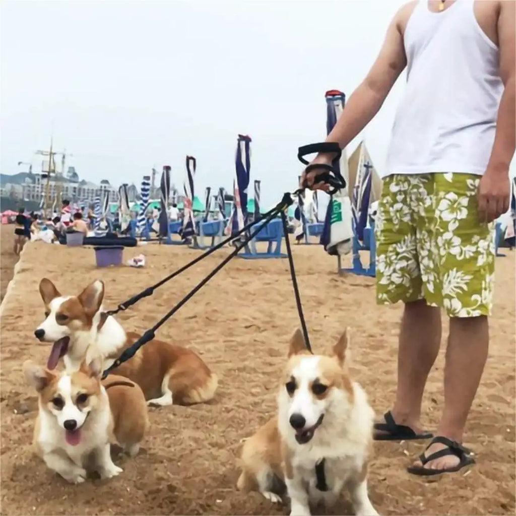 4-Dog Tangle-Free Leash – Detachable Independent Lines with Comfort Grip, Heavy-Duty Nylon for Multi-Dog Walks Oasis Select