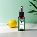 YURHERSU Lemon Foot Deodorant Spray – 24H Odor Control Foot Deodorant Spray Oasis Select LEMON