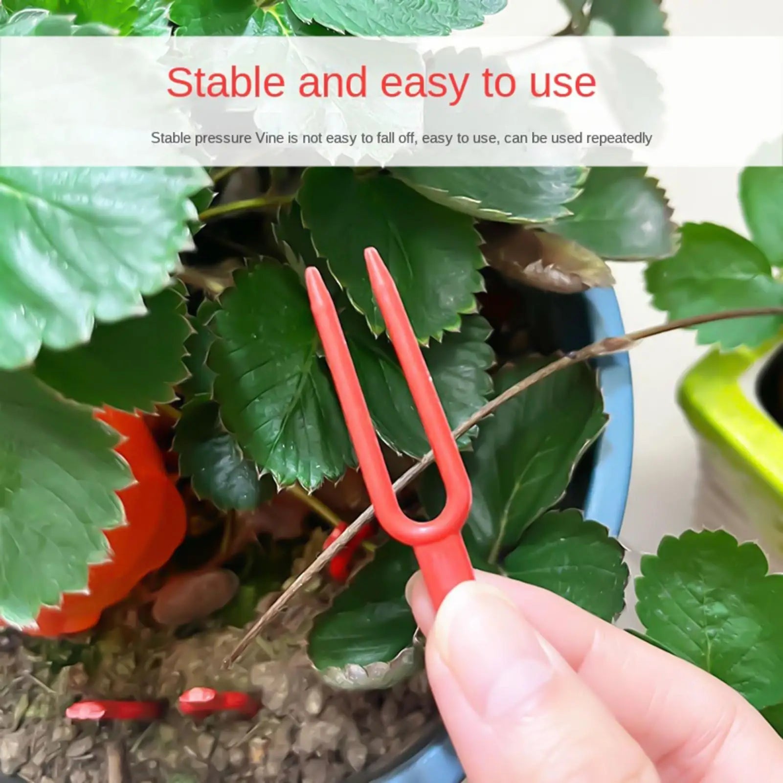 100Pcs Strawberry Planting Fork Stolon Fixator Vine Pressing Device Watermelon Climbing Stem Clips Garden Plants Fastening Clips Oasis Select