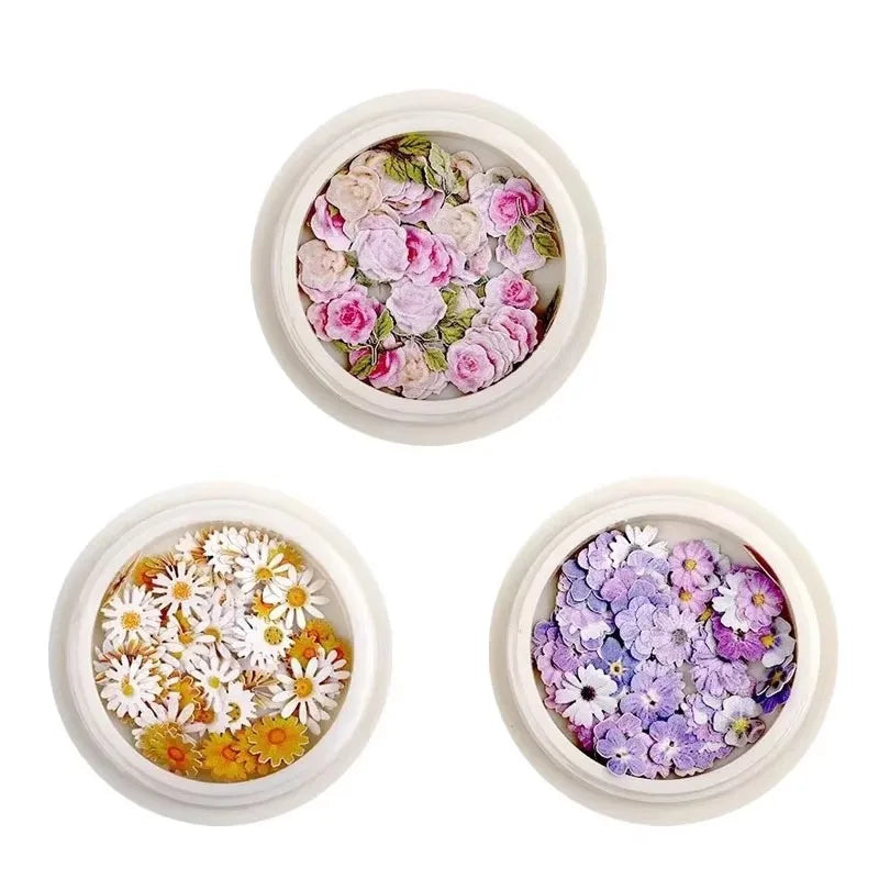 1/3/4Pcs Mixed-color Dried Flowers Resin Craft Dry Flowers Nail Art Decoration Natural Ultra-thin Mini Nail Flowers Oasis Select 01-04-08