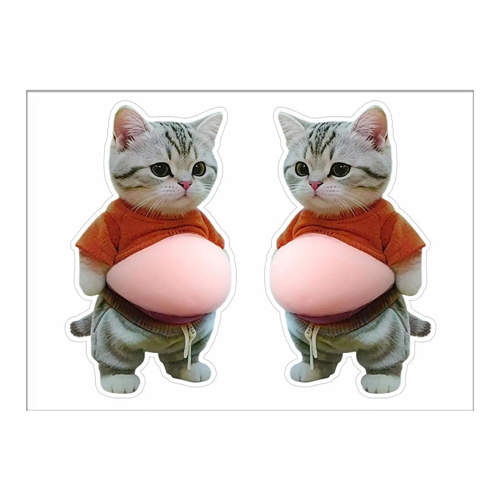 Cat Belly Sticker 3D self-adhesive Stickers Squeezeable Decoration Soft Pink Background Phone Decoration Sticker For Home Decor Oasis Select
