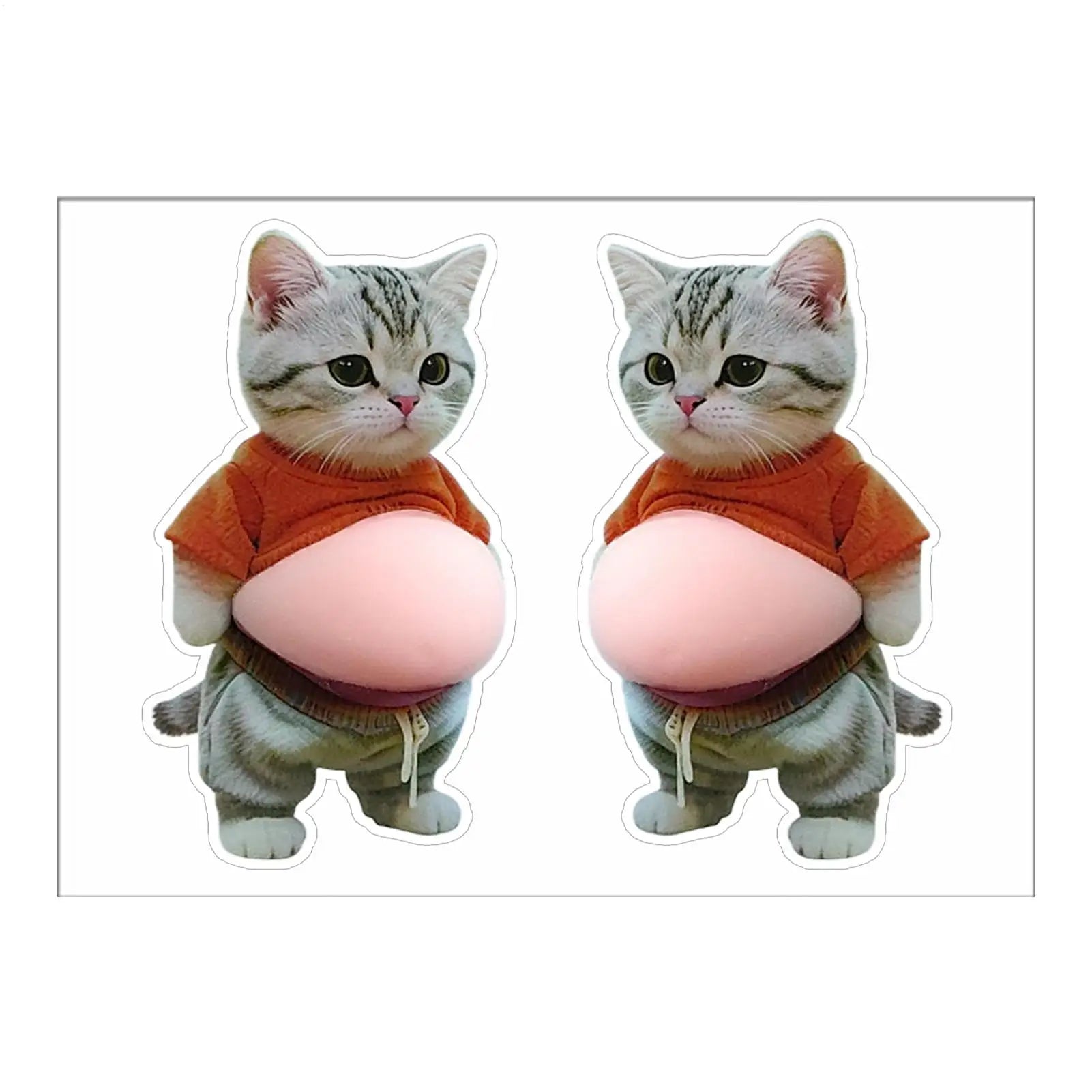 Cat Belly Sticker 3D self-adhesive Stickers Squeezeable Decoration Soft Pink Background Phone Decoration Sticker For Home Decor Oasis Select