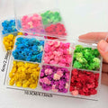 Dried Flowers for Resin, Candle, Soap, Nail Art & DIY Crafts