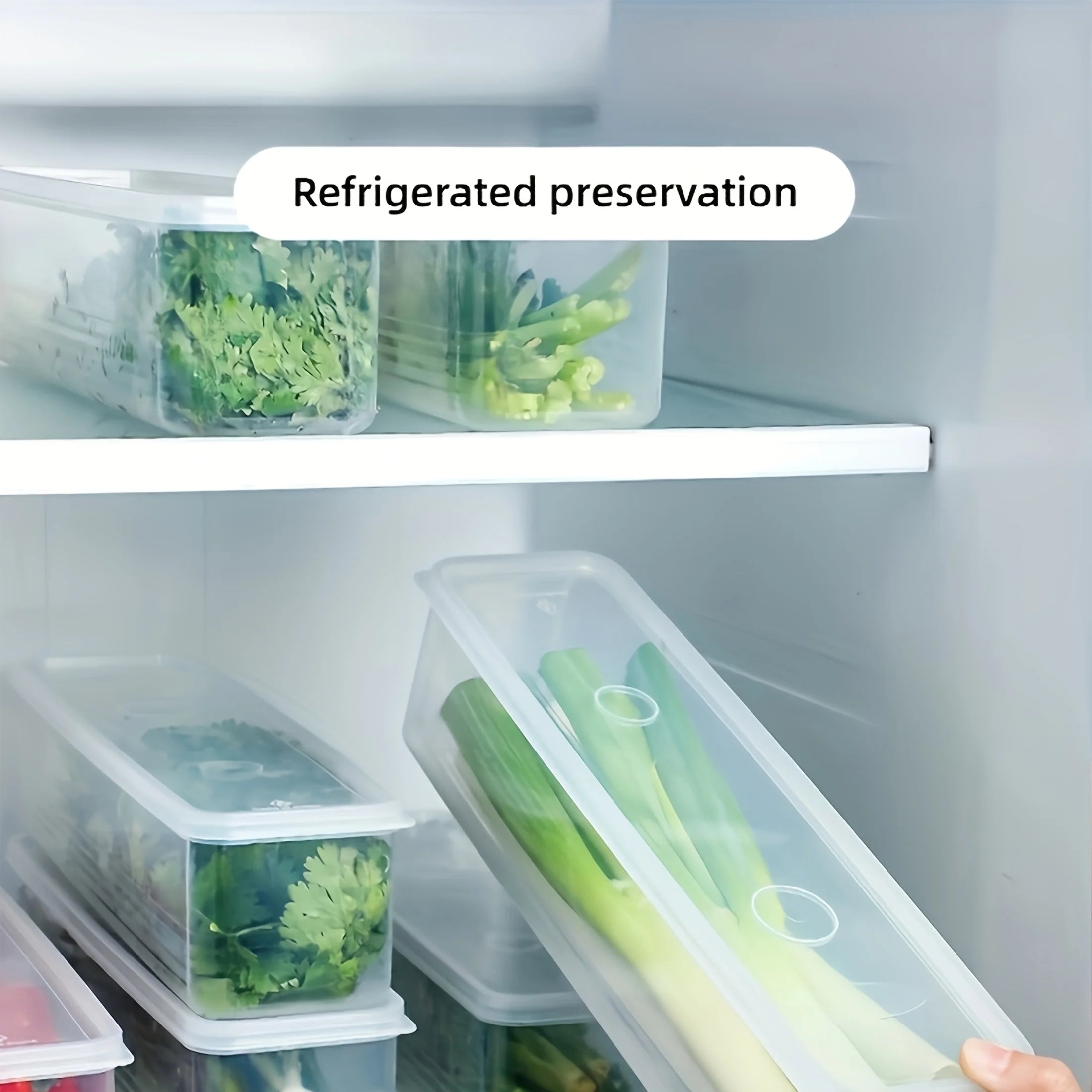 2/4pcs Long Rectangular Food Storage Containers, Plastic Reusable Refrigerator Organizer Boxes for Herbs, Vegetables Oasis Select