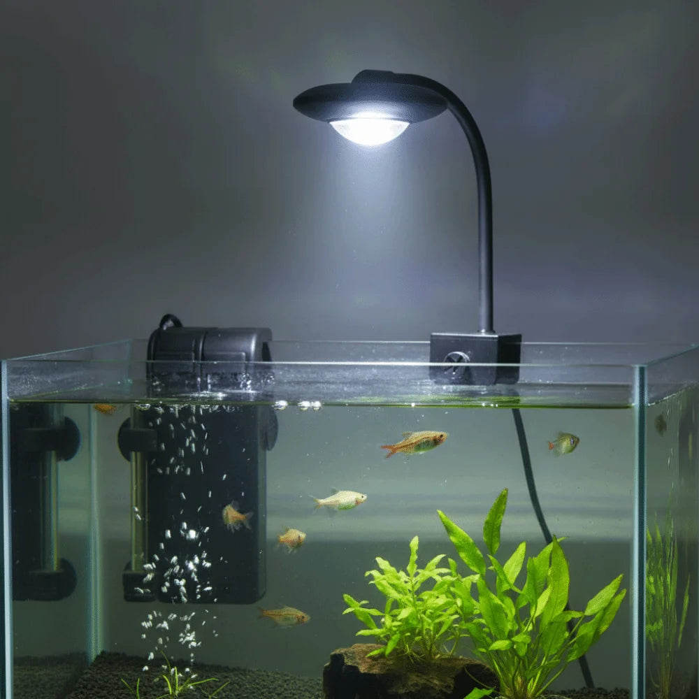Full Spectrum Fish Tank Clip Lamp Adjustable Brightness Flexible Stem Aquatic Plant Grow Light Low Flicker Frequency Oasis Select