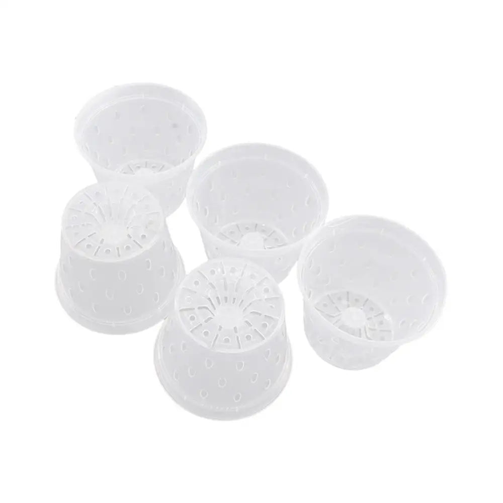 Transparent Orchid Pot with Drainage Holes & Tray | Phalaenopsis