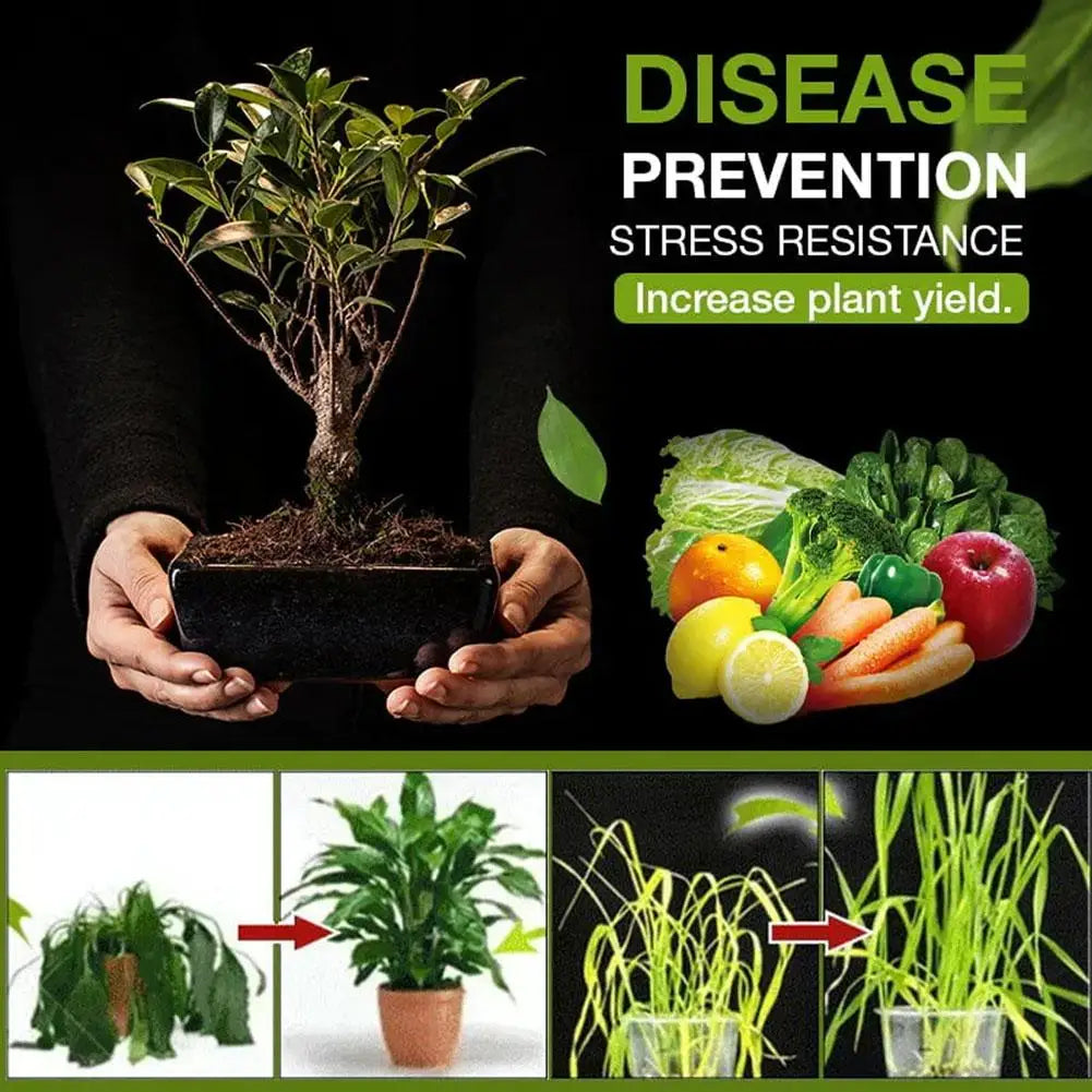 Mineral Source Soil Conditioner Universal Plant Fertilizer For Seedling Growth & Rooting Gardening Essential For Indoor Outdoor Oasis Select