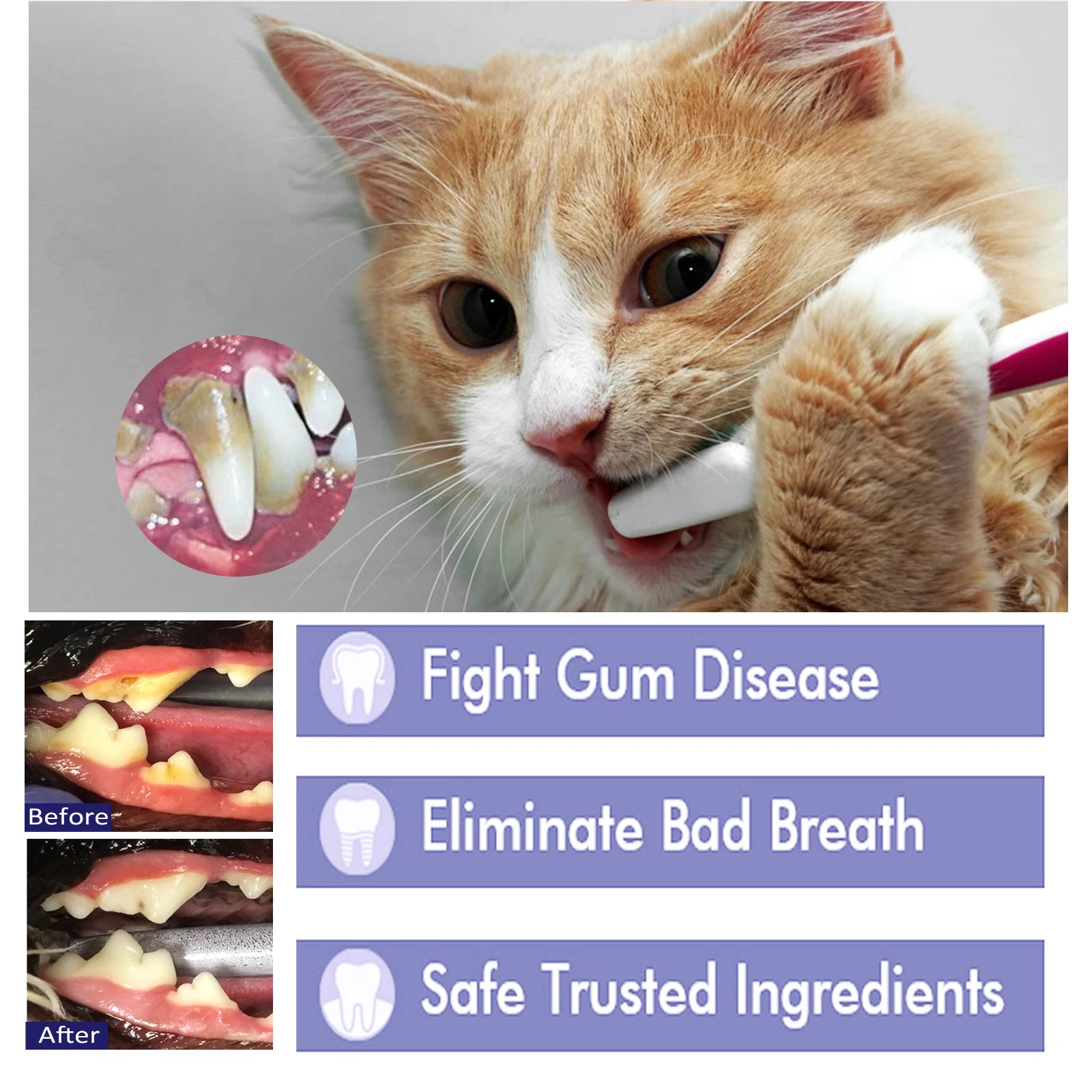 Pet Toothpaste Reduce Tartar Remove Dental Stain Eliminate Bad Breath Deodorant Whitening Dog Cat Teeth Pet Oral Care Toothpaste Oasis Select