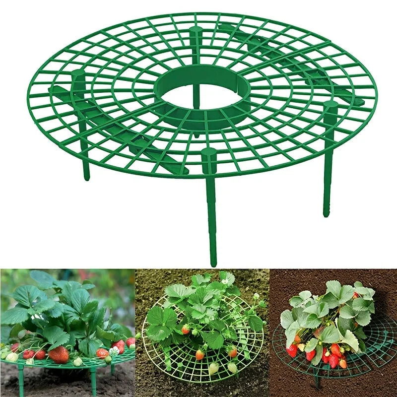 5/10pcs Green Strawberry Planting Rack with 3 Sturdy Stands Versatile Plant for Berries and Small Plants Plant Stand Oasis Select