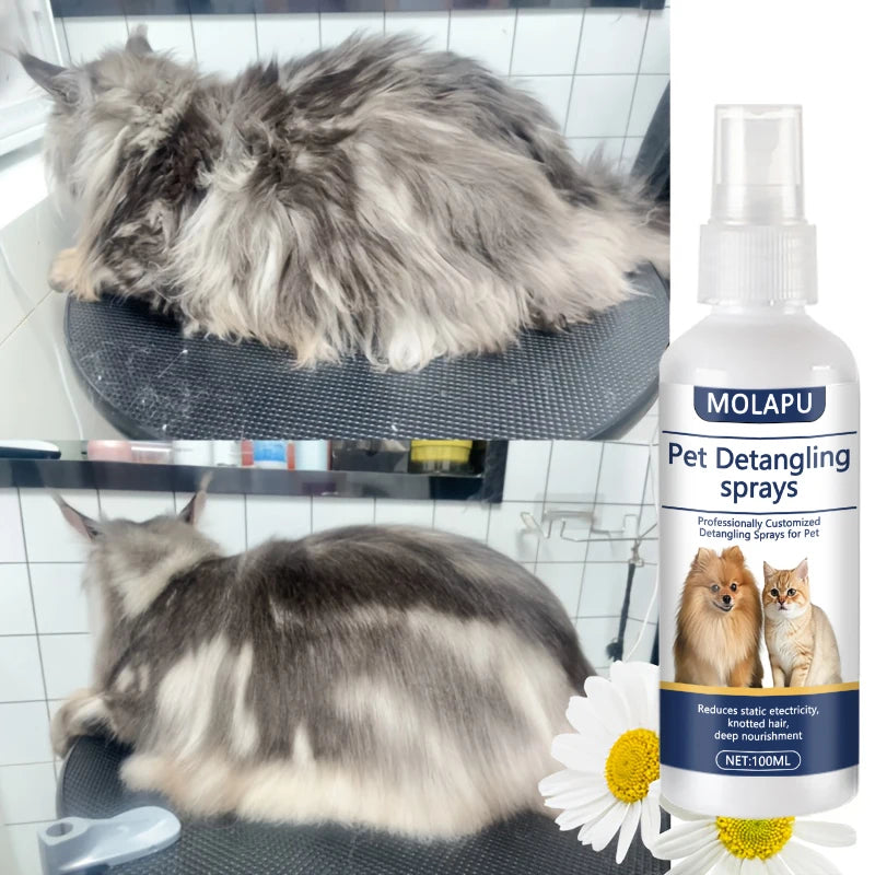 Cat and Dog Hair Tangle Prevention Spray – Leave-In Conditioner to Detangle Pet Hair. A Professional Formula Specifically Designed for Pet Grooming to Prevent Hair from Getting Tangled. This Spray Also Reduces Static Electr Oasis Select