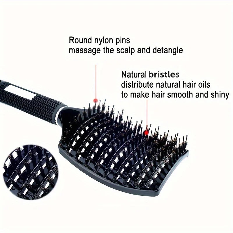 Multi-Color Scalp Massage Comb | Wet & Curly Hair Tool Scalp Massage Comb Oasis Select