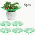 5/10pcs Strawberry Plant Supports with Three Sturdy Legs Provide Protection for Strawberries Against Mold, Rot, and Dirt Oasis Select 5pcs