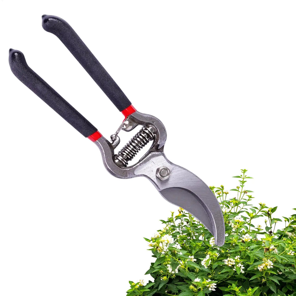 1PC Stainless Steel Gardening Shears Pruning branches Fruit trees Flowers Household Pruning Tools Garden hand Pruning Shears Oasis Select