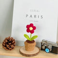 Handmade Knitted Flower Pot Red Heart Shaped Knit Imitation Potted Plant for Mother's Day Gifts Home Desktop Decor Oasis Select C