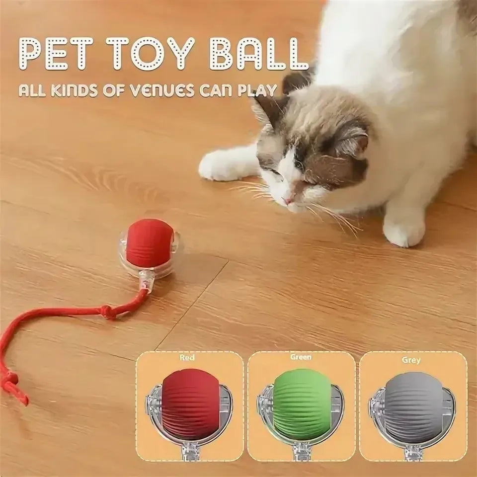 Pet Automatic Rolling Ball Interactive Ball Cat Toy Electric Cat Dog Training Imitation Mouse Rechargeable Product Oasis Select