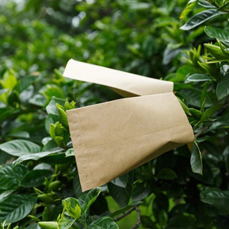 100Pcs Kraft Paper Seed Protective Envelope Storage Bags Mini Envelopes Packets Oasis Select