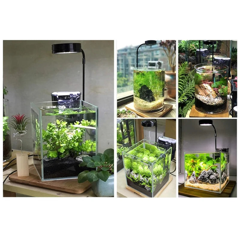 LED Aquarium Fish Tank Light With Bamboo Base Lamp For Aquariums Potted Plants Succulents Miniature Landscape US Plug 5W Oasis Select