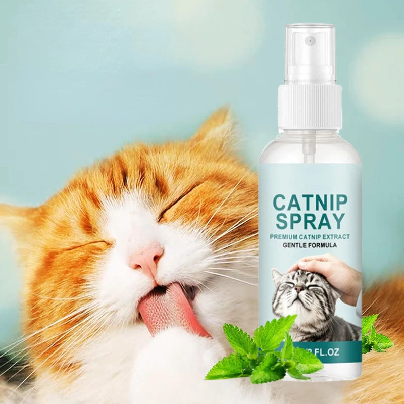 Active Catnip Spray for Cats Relieves Stress, Calming, Enhance Pet Vitality, Kitten Behaviour Spray Cats’ Fun Edible Mint Spary Oasis Select
