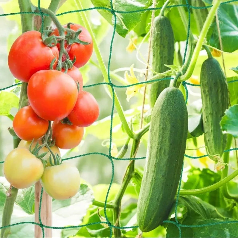 Breathable Plant Trellis Pergola Net Heavy Duty Square Mesh Netting Durable Grow Support for Garden Climbing Plants Oasis Select