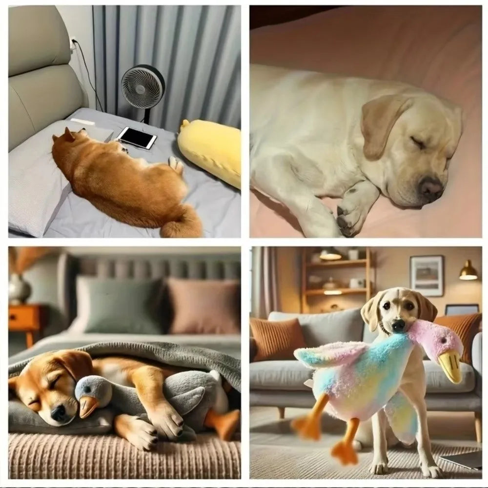 50cm Cute Energy Release Duck Dogs Toy Goose Dolls Colorful Pet Companion Toy Cartoon Portable Cats Toy Oasis Select