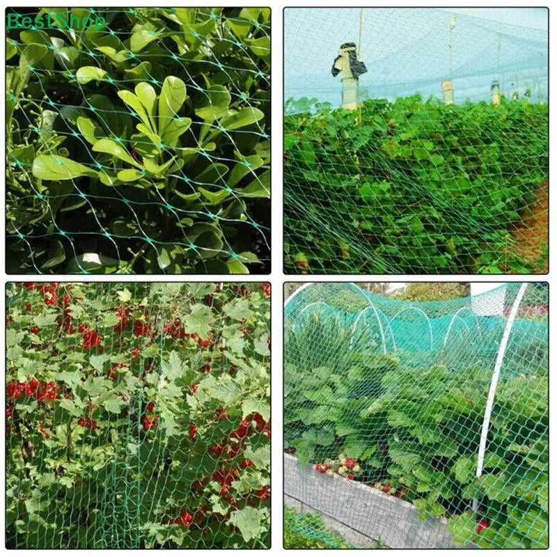 Garden Bird Netting – UV HDPE Pest Mesh for Plants & Fruit Trees