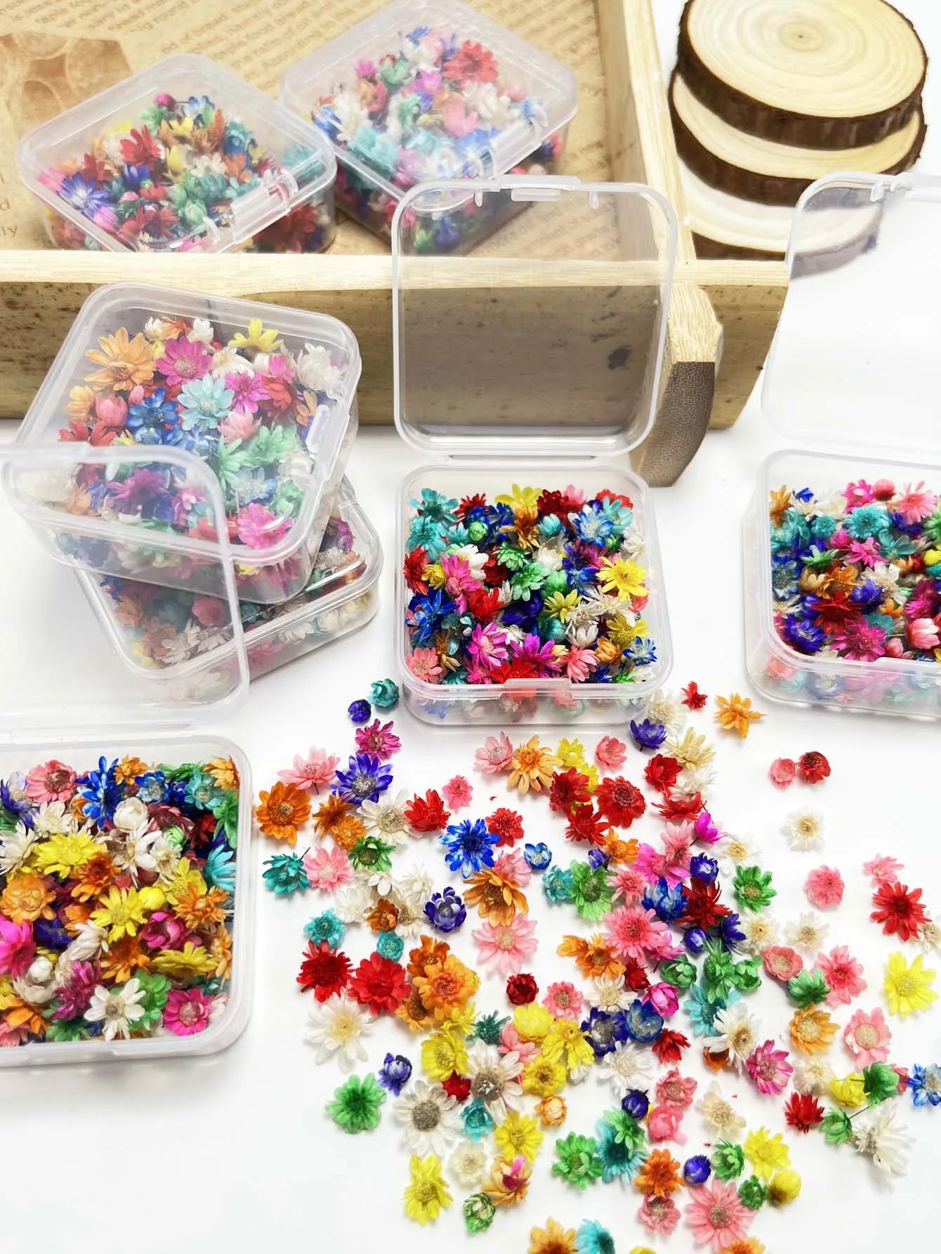 1 BOX Tiny Mini Dried Flowers Colorful Small Dried Gypsophila Flowers for Candle, Soap, Resin, Craft Makings Oasis Select