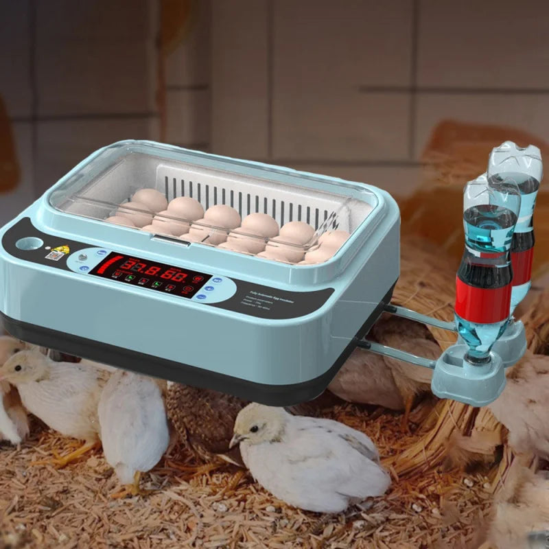 24 Eggs Chicken Bird Incubator Eggs Hatching Machine for Hatching Chicken Duck Quail Automatic Intelligent Farm Supplies Oasis Select