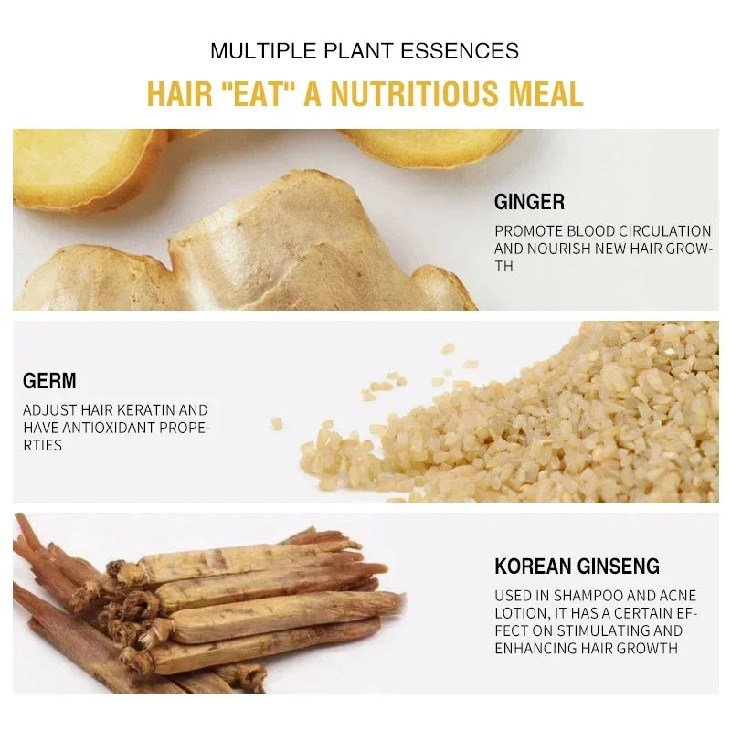 PURC Ginger Hair Growth Shampoo Fast Regrowth Anti Hair Loss Scalp Treatment Shampoo Thicken Nourishing Hair Care 100ml Oasis Select