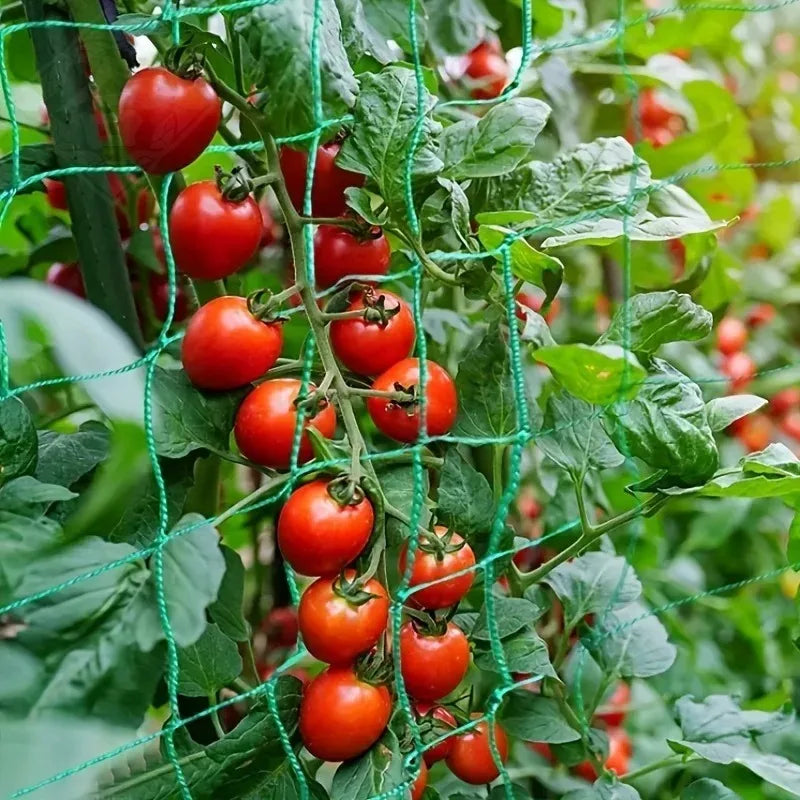 Breathable Plant Trellis Pergola Net Heavy Duty Square Mesh Netting Durable Grow Support for Garden Climbing Plants Oasis Select