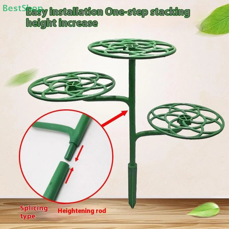 Plant Support Trellis Frame – Multi-Layer for Climbing Plants
