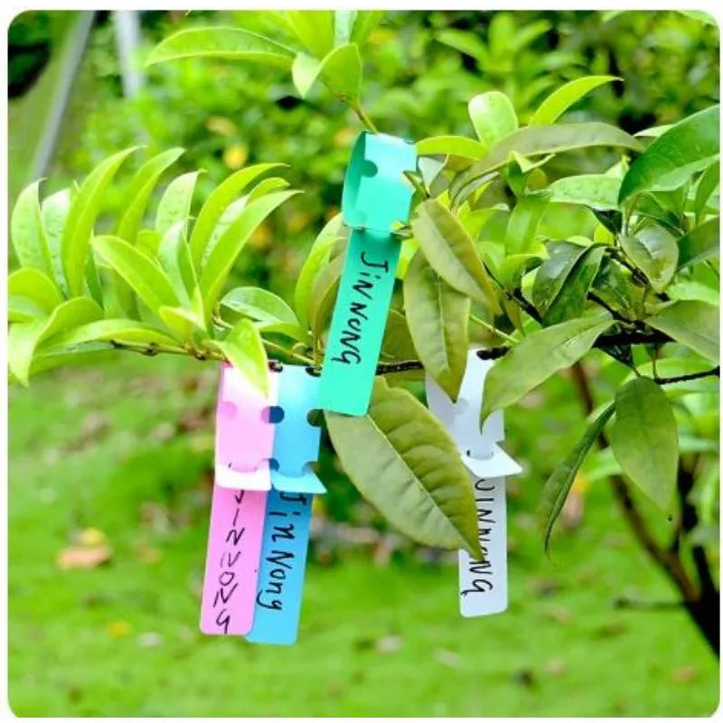Waterproof plant tag Plastic plant Hanging tag Gardening plant tag tool plant labels garden sign planters for outdoor plants Oasis Select