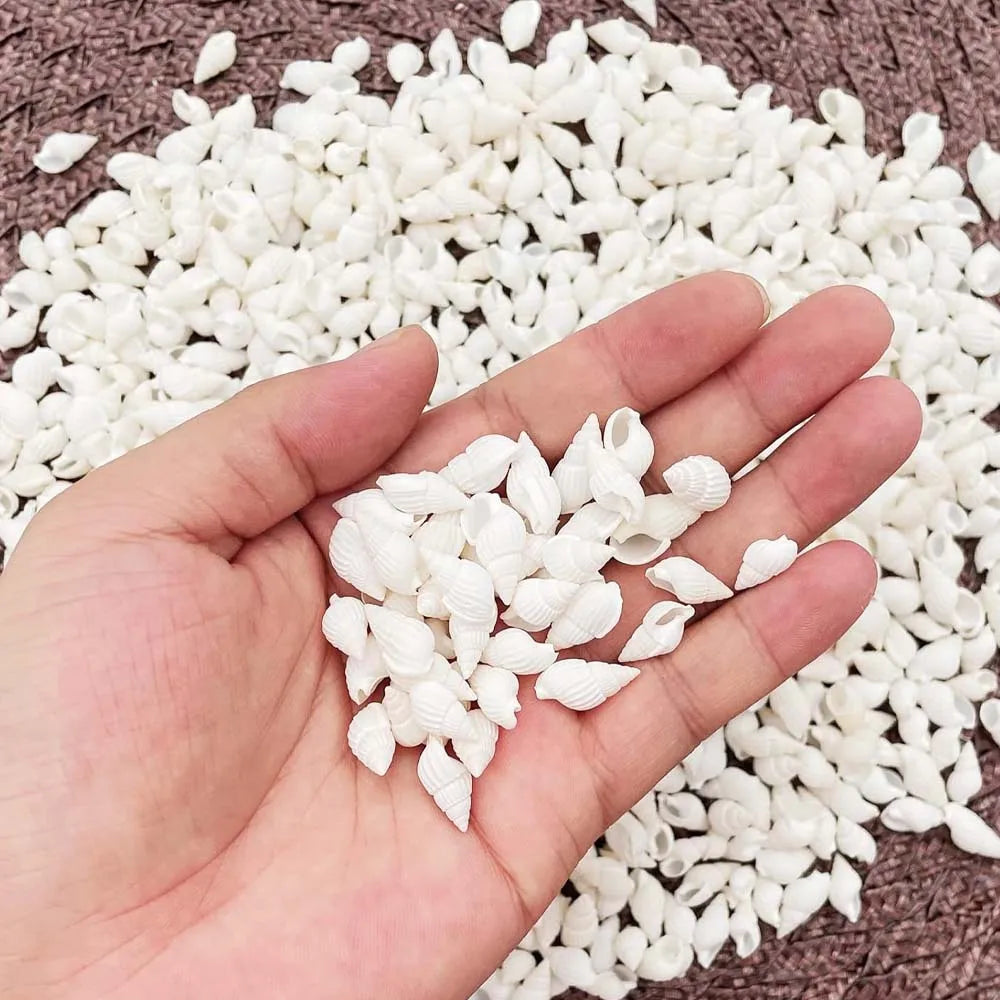 About 100pcs Natural White Beach Sea Shell BeadsTrumpet Spiral Seashells for DIY Craft Jewelry Making Wedding Party Home Decor Oasis Select about 100pcs