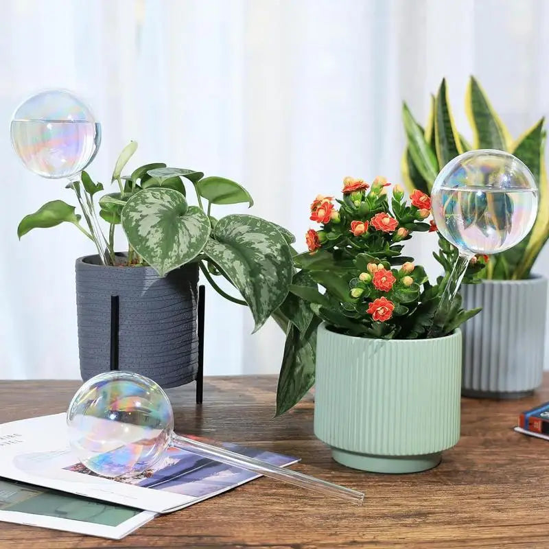 Plant Watering Globes Rainbow Gradient Color Automatic Watering Bulbs Clear Flower Automatic Watering Device Auto Waterer Tool Oasis Select
