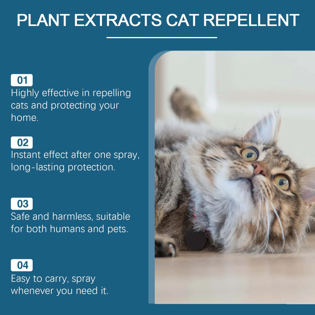 Cat Deterrent Spray Indoor Stop Scratching Deterrent Training Aid Furniture Sofas Rugs Curtain Furniture Protector Pet Product Oasis Select