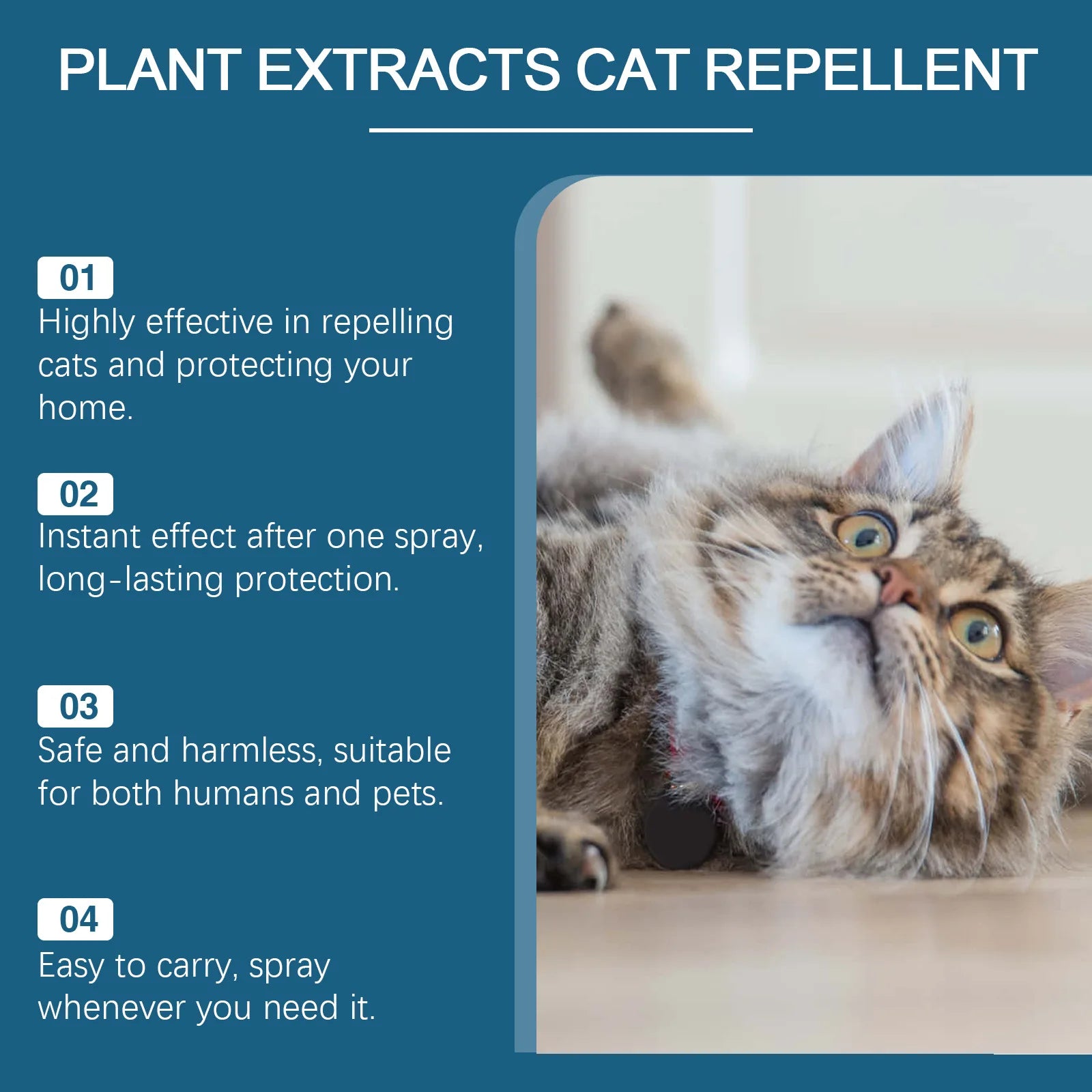 Cat Deterrent Spray Indoor Stop Scratching Deterrent Training Aid Furniture Sofas Rugs Curtain Furniture Protector Pet Product Oasis Select
