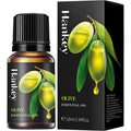 10ML Lavender Rose Lemon Olive Eucalyptus Orange Rosemaxy Wormwood Ginger Green tea Oil Oasis Select H