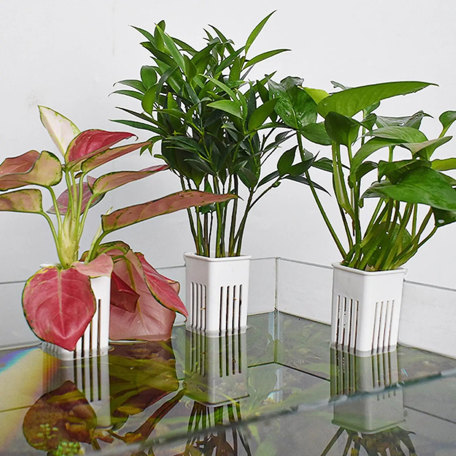 Aquatic Plant Holder Multifunctional Aquatic Planter Pot Aquarium Planter Cup For Water Fish Tank Plant Basket Hanging Decor Oasis Select