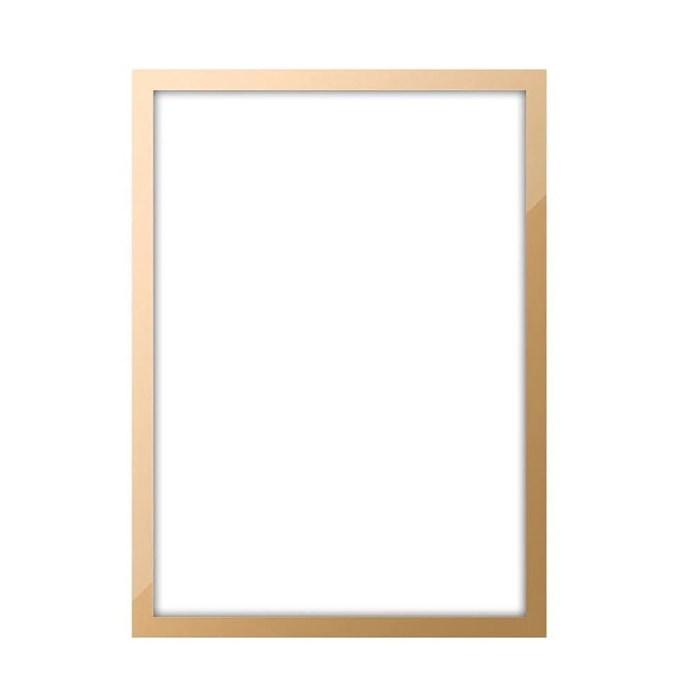 Magnetic Photo Frame A3 A4 8.5x11" Poster & Art Display