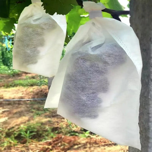 100-Pack Non-Woven Fruit Protection Bags | Breathable Garden Mesh Fruit Protection Bags Oasis Select