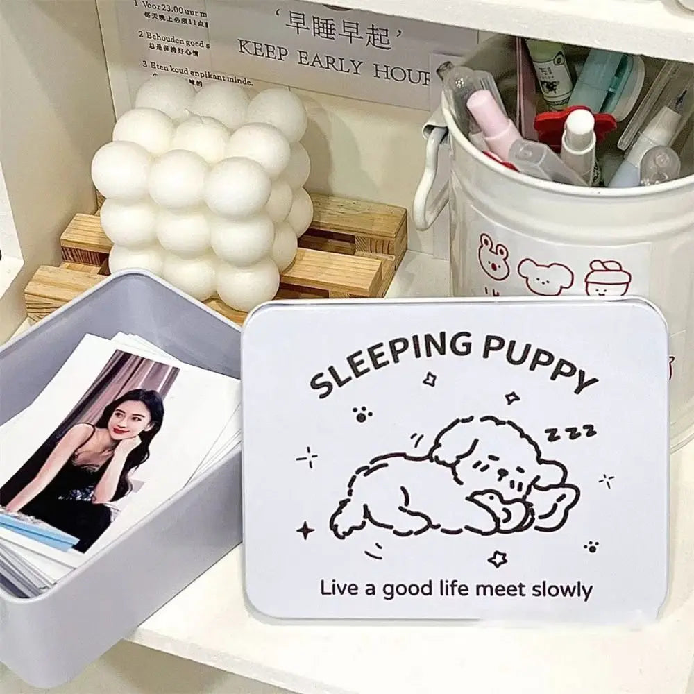 Cartoon Iron Storage Box Big Capacity Small Card Storage Box Desktop Storage School Stationery Kpop Photocards Oasis Select
