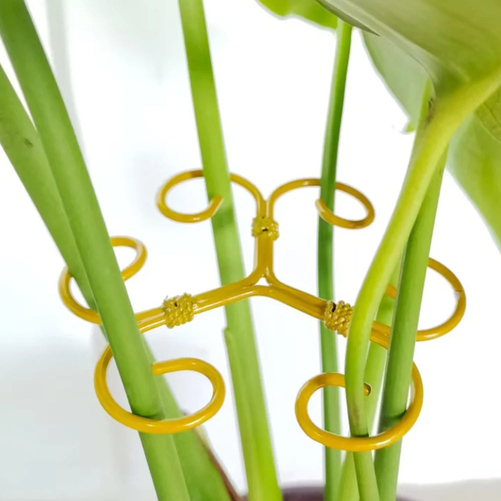 5-Pack Metal Plant Stem Supports – Monstera & Indoor Plants Plant Stem Supports Oasis Select