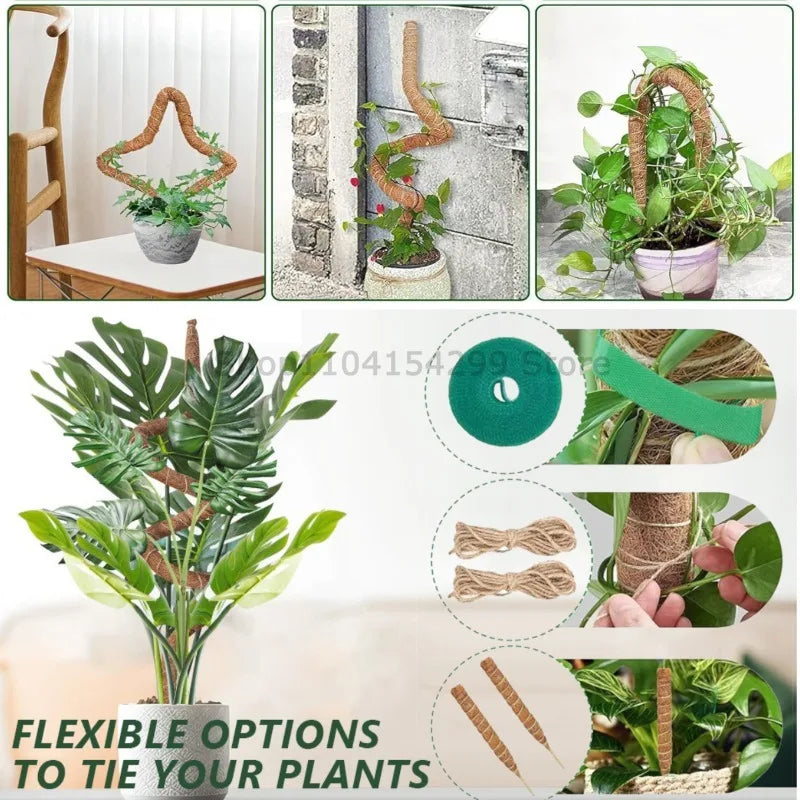 Plant Monstera Support Bendable Moss Pole for Plants Coconut Palm Fiber Monstera Handmade Coco Climbing DIY Garden Accessories Oasis Select