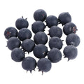 Artificial Blueberry Décor Props – 20pc Fake Foam Berries Artificial Fruit Decor Oasis Select Milky White One Size